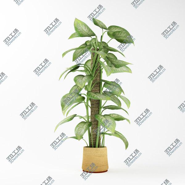 images/goods_img/20210312/Archmodels vol. 75/5.jpg